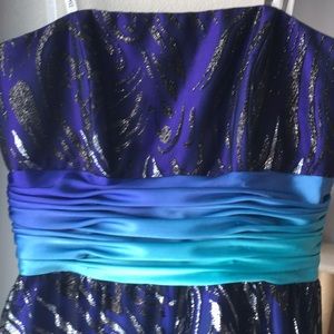 David's Bridal Zebra Glitter Prom Dress